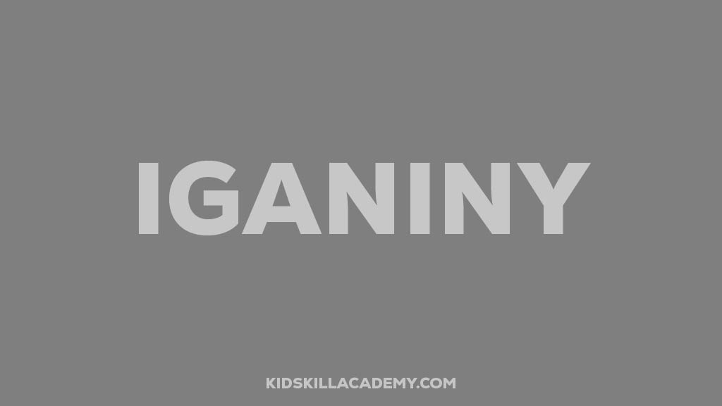 IgAniny