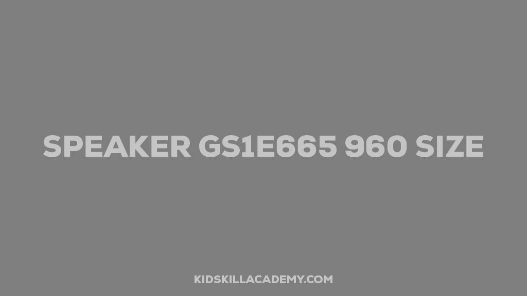 Speaker GS1E665 960 Size